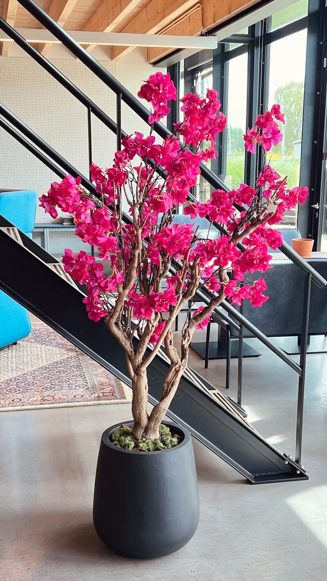 Zijden bloesemboom