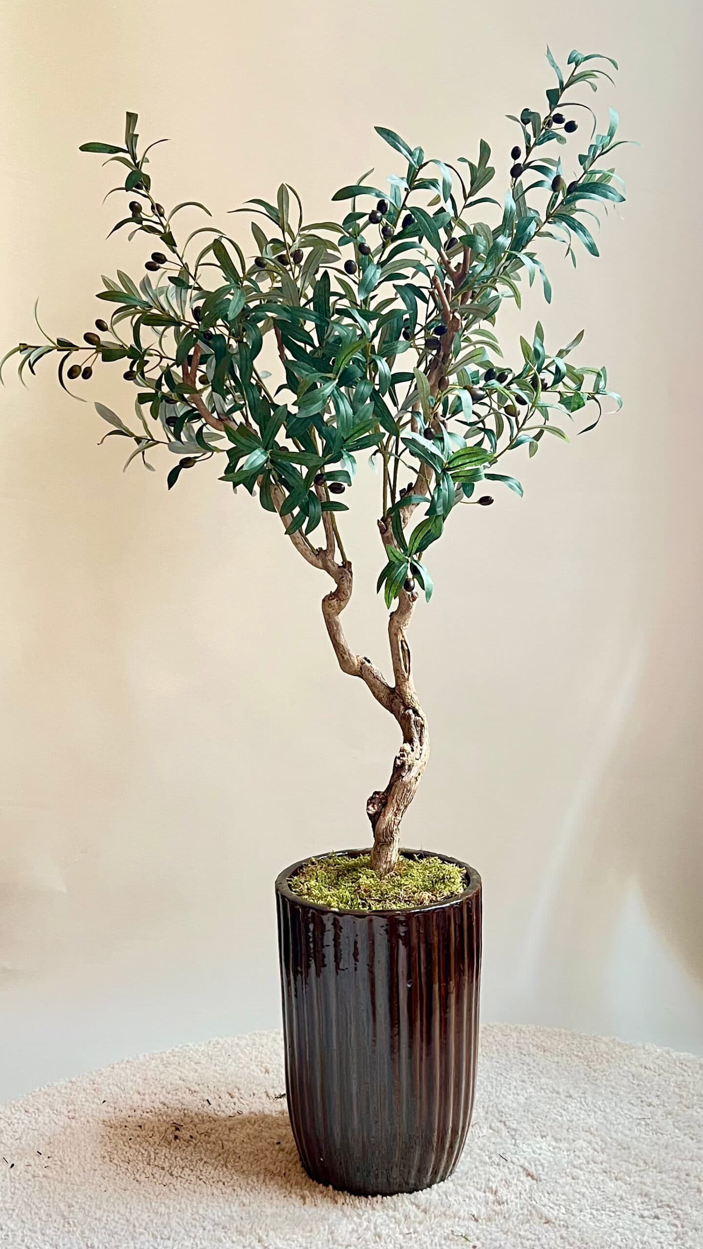 Kunst olijfboompje