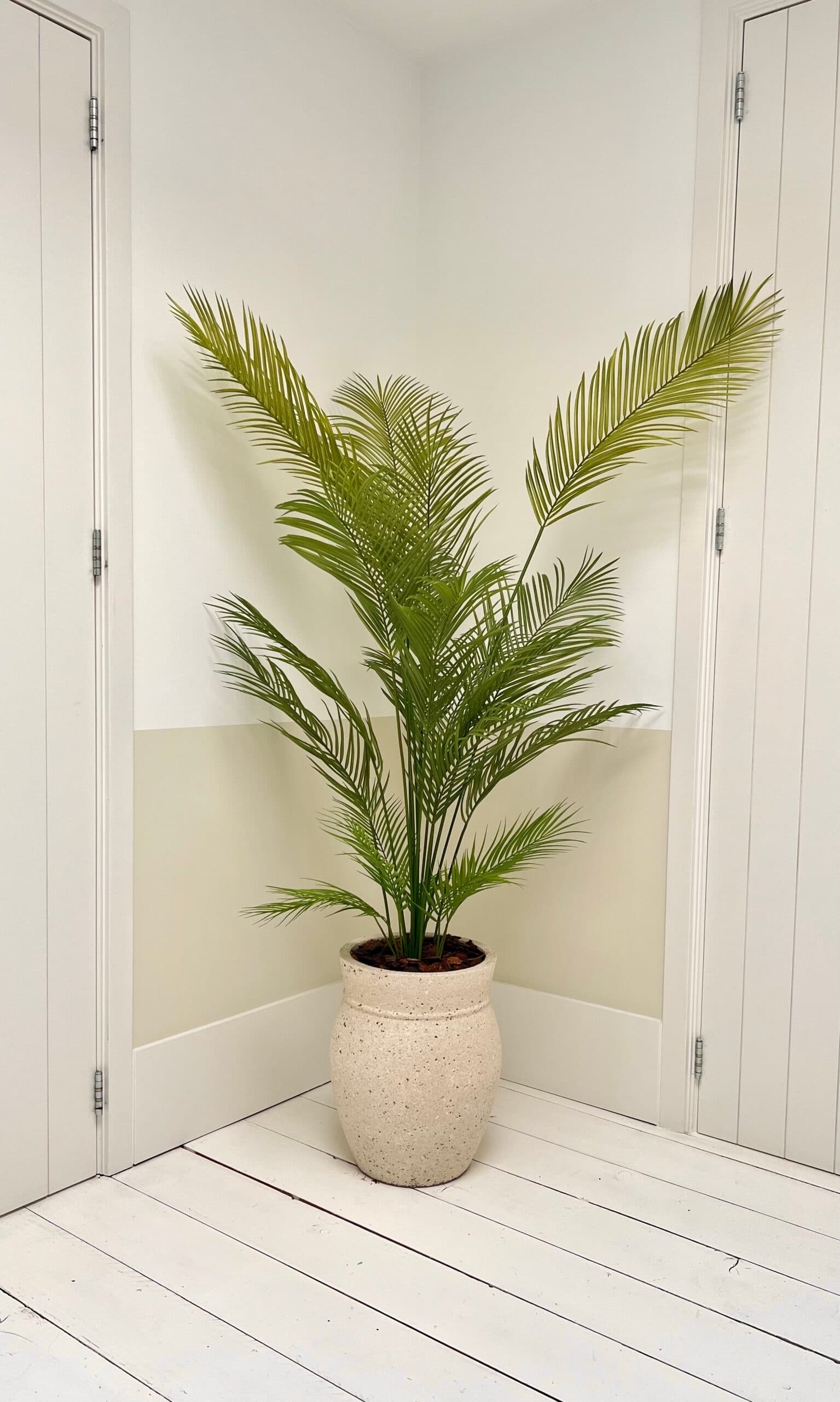 Kunstpalm in de hal