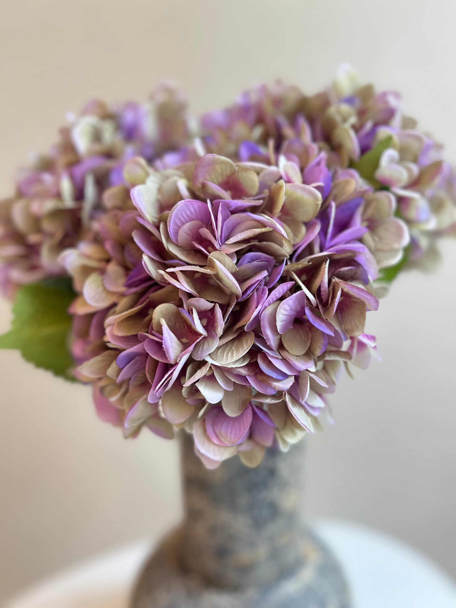 Bosje Hortensia 2
