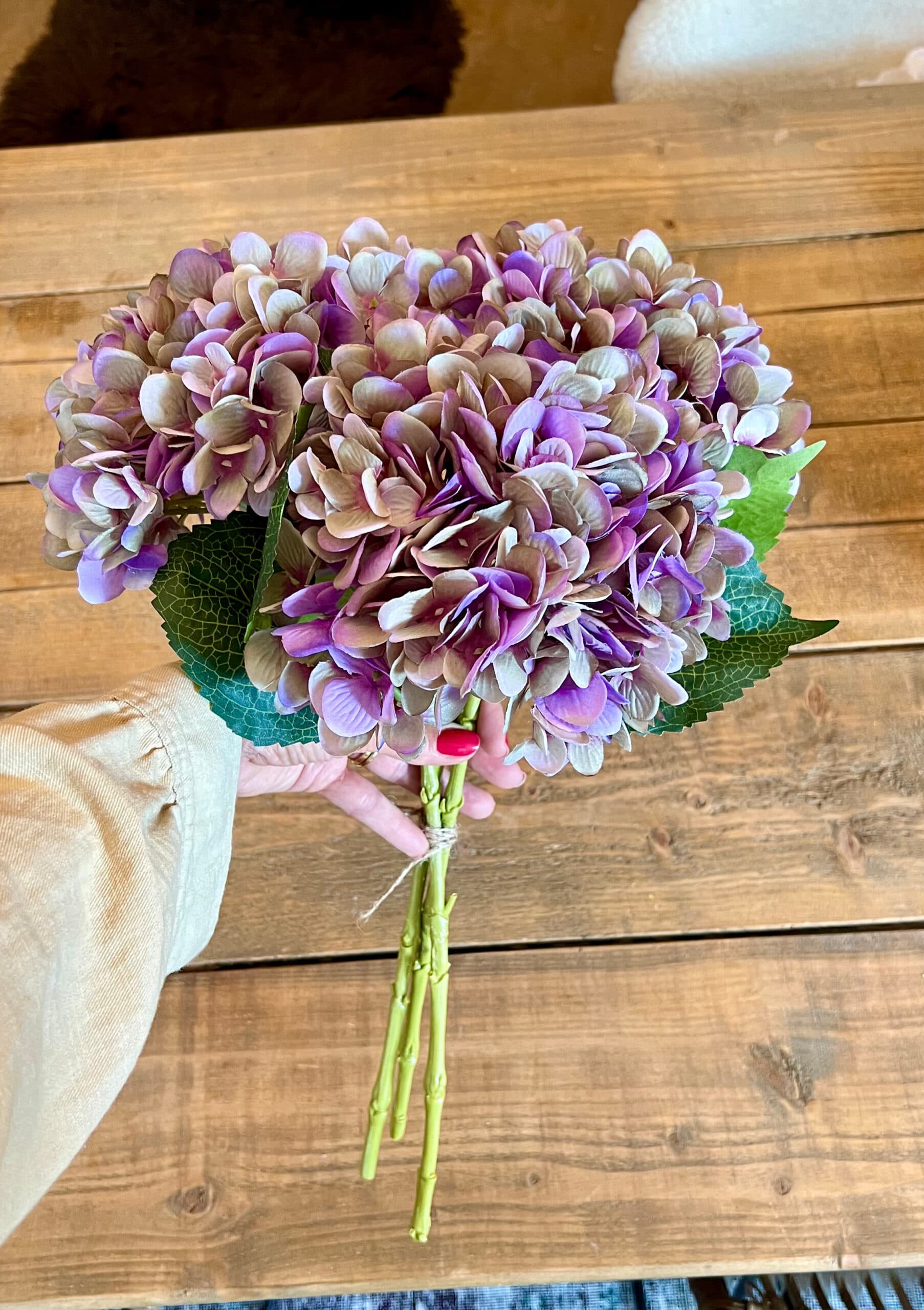 Bosje Hortensia 3