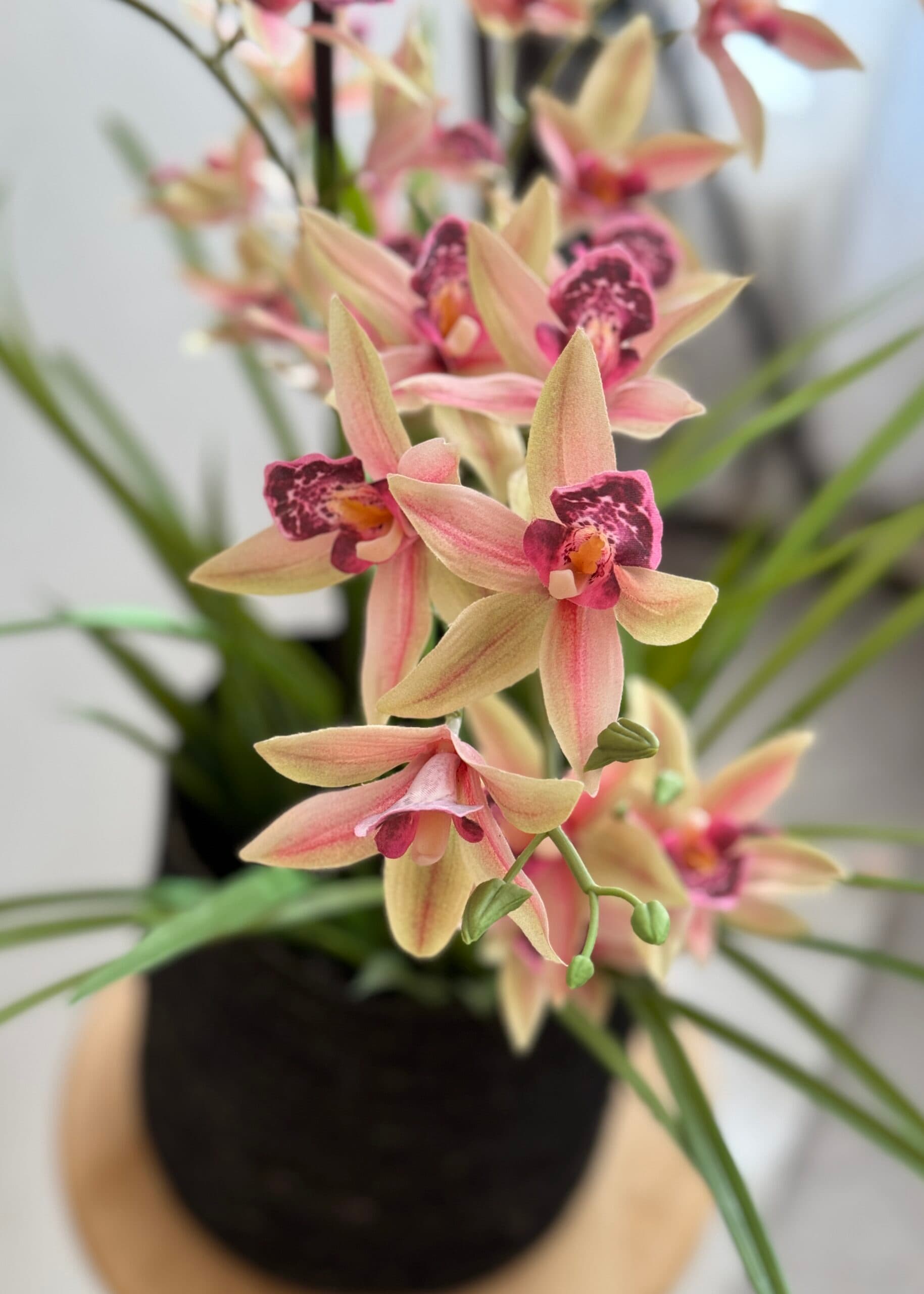 Kunstplant Orchidee cymbidium 3
