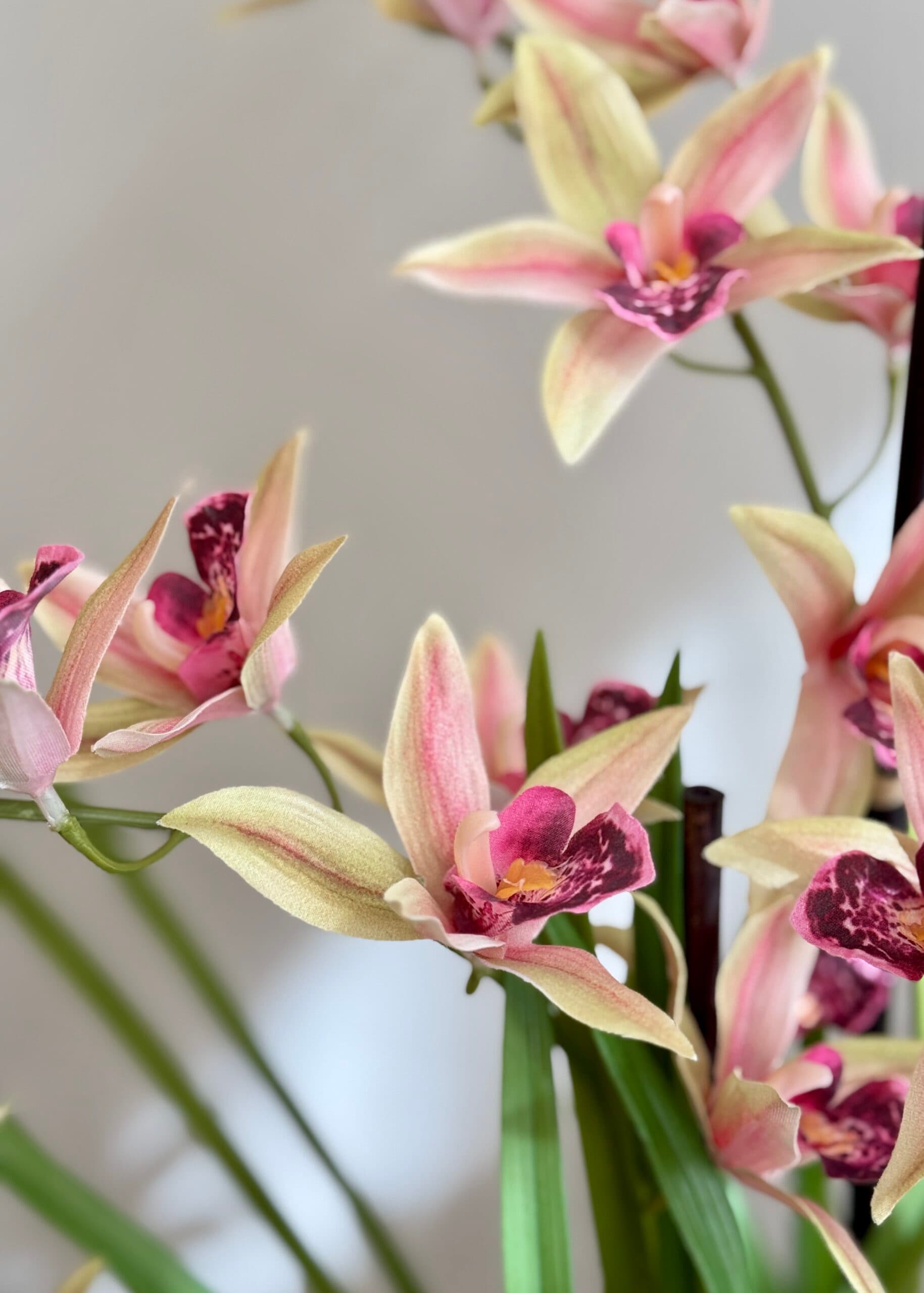Kunstplant Orchidee cymbidium 2
